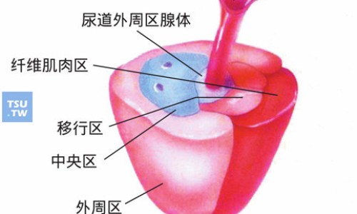 五加生化胶囊如何排血-五加生化胶囊排淤血网 - 为你提供五加生化胶囊如何排血、五加生化胶囊吃了啥会会排出瘀血